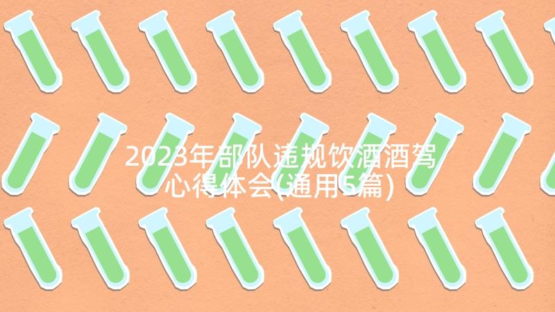 2023年部队违规饮酒酒驾心得体会(通用5篇)