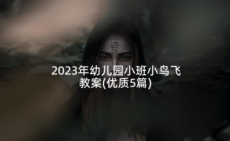 2023年幼儿园小班小鸟飞教案(优质5篇)