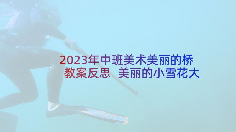 2023年中班美术美丽的桥教案反思 美丽的小雪花大教案活动及反思(模板5篇)