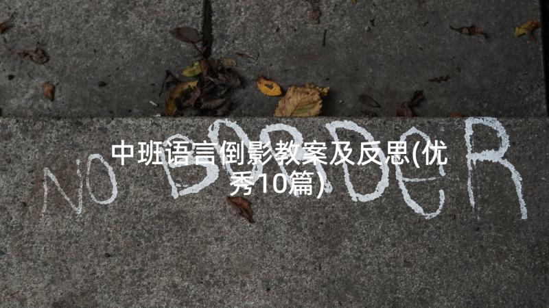 中班语言倒影教案及反思(优秀10篇)