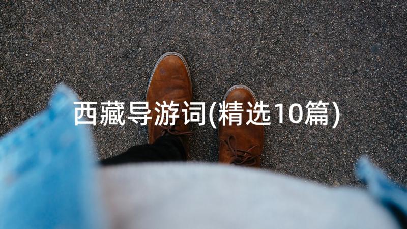 西藏导游词(精选10篇)