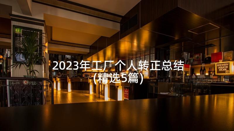 2023年工厂个人转正总结(精选5篇)