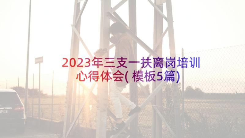 2023年三支一扶离岗培训心得体会(模板5篇)