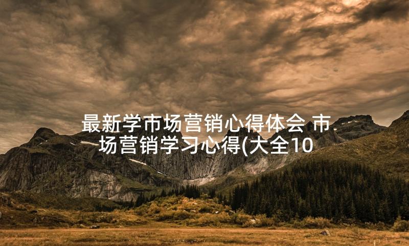 最新学市场营销心得体会 市场营销学习心得(大全10篇)