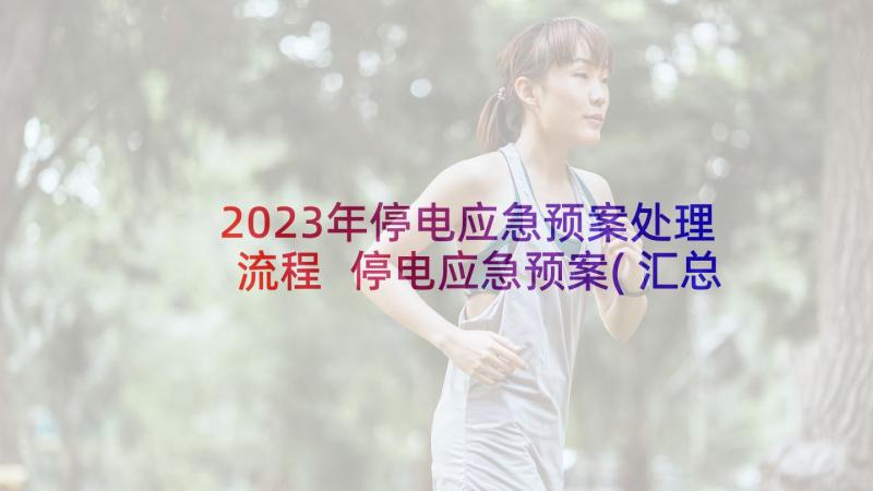 2023年停电应急预案处理流程 停电应急预案(汇总5篇)