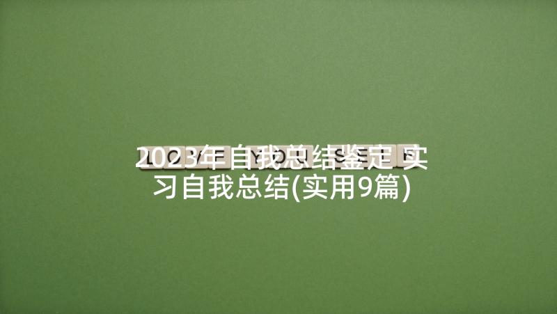 2023年自我总结鉴定 实习自我总结(实用9篇)