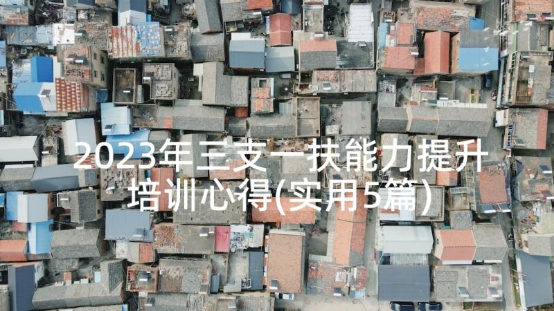 2023年三支一扶能力提升培训心得(实用5篇)