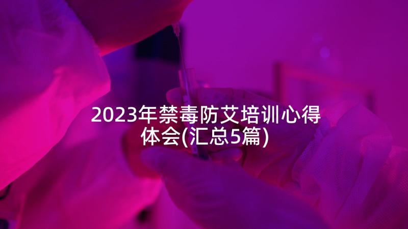 2023年禁毒防艾培训心得体会(汇总5篇)