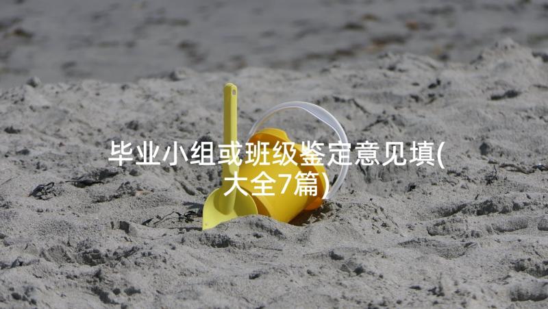 毕业小组或班级鉴定意见填(大全7篇)