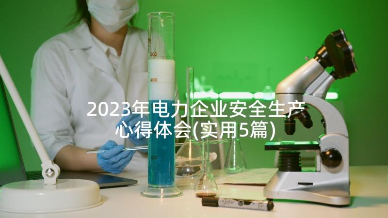 2023年电力企业安全生产心得体会(实用5篇)