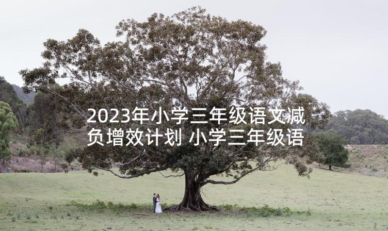 2023年小学三年级语文减负增效计划 小学三年级语文教学总结(大全8篇)