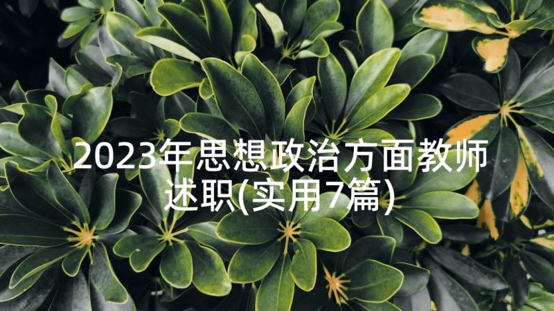 2023年思想政治方面教师述职(实用7篇)