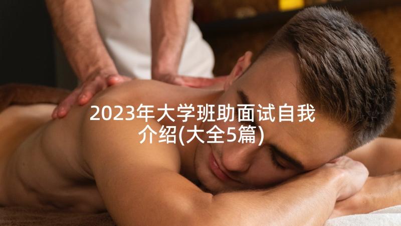 2023年大学班助面试自我介绍(大全5篇)