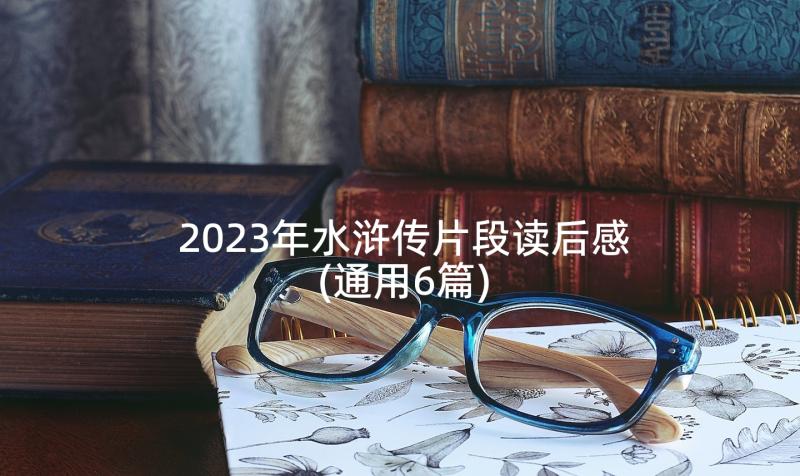 2023年水浒传片段读后感(通用6篇)