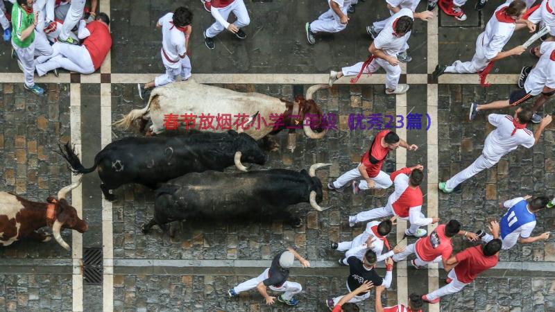 春节放烟花小学二年级（优秀23篇）