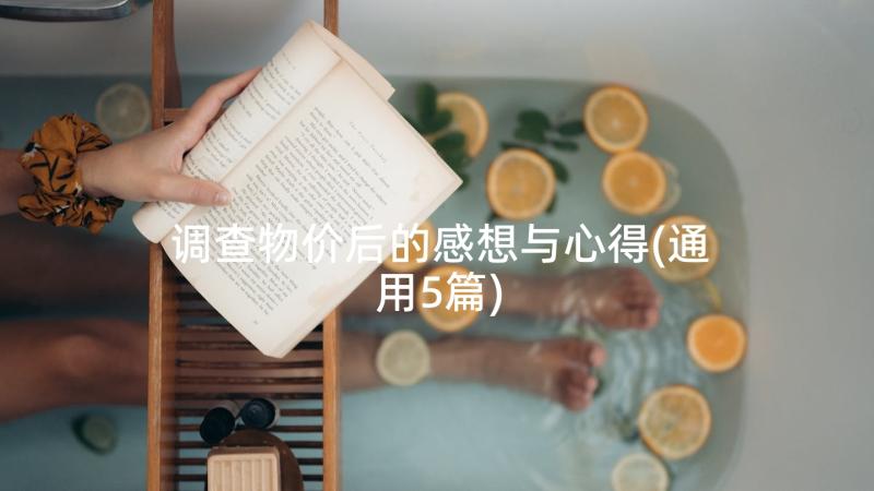 调查物价后的感想与心得(通用5篇)