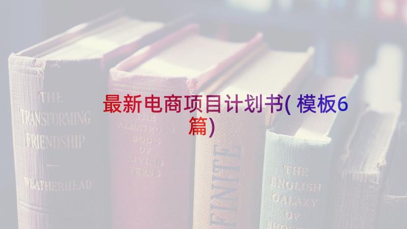 最新电商项目计划书(模板6篇)