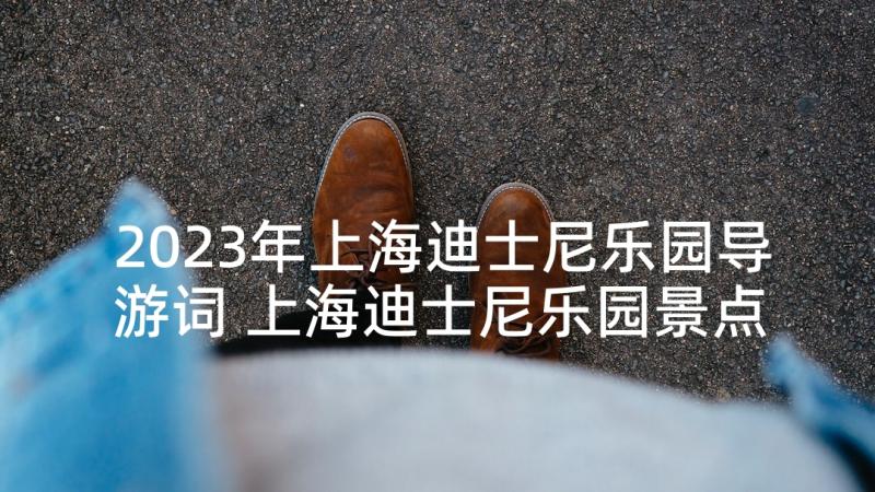 2023年上海迪士尼乐园导游词 上海迪士尼乐园景点导游词(优秀5篇)