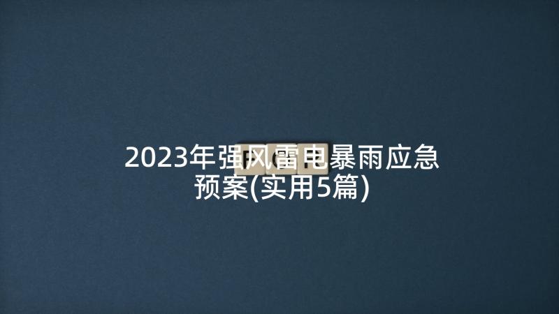 2023年强风雷电暴雨应急预案(实用5篇)