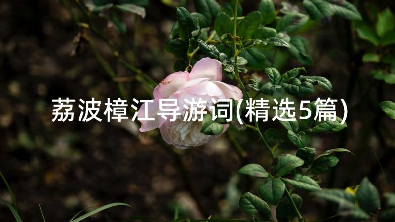 荔波樟江导游词(精选5篇)