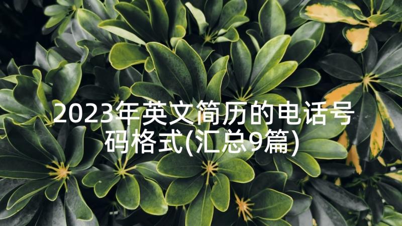 2023年英文简历的电话号码格式(汇总9篇)