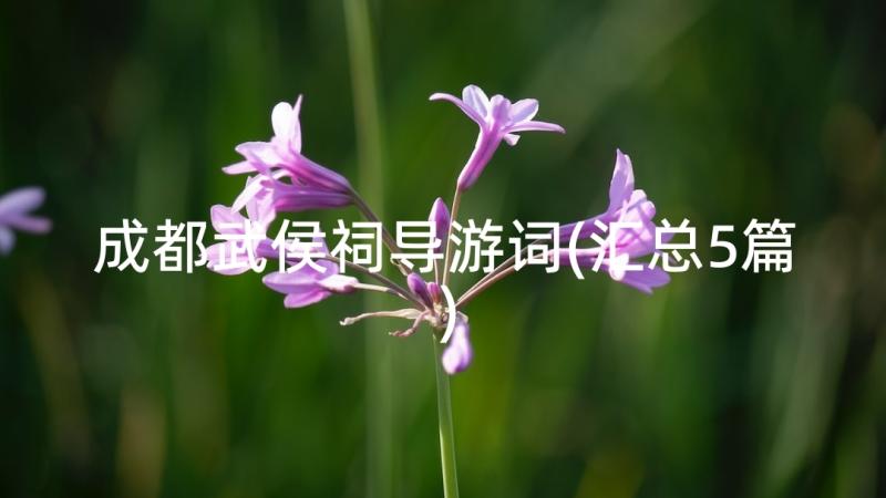 成都武侯祠导游词(汇总5篇)