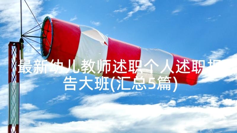 最新幼儿教师述职个人述职报告大班(汇总5篇)