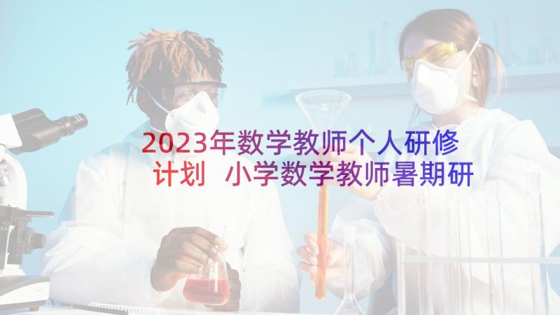 2023年数学教师个人研修计划 小学数学教师暑期研修心得体会(优质5篇)