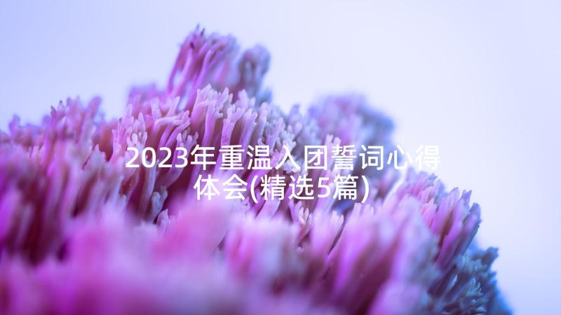 2023年重温入团誓词心得体会(精选5篇)