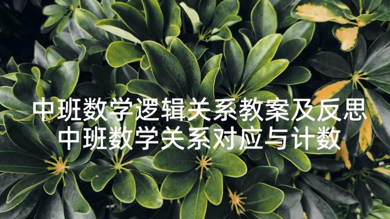 中班数学逻辑关系教案及反思 中班数学关系对应与计数教案(汇总5篇)