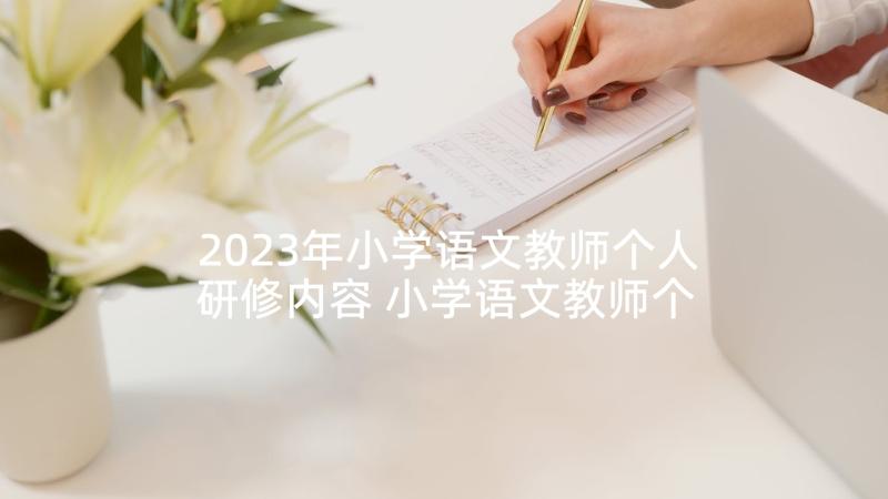 2023年小学语文教师个人研修内容 小学语文教师个人校本研修总结(精选5篇)