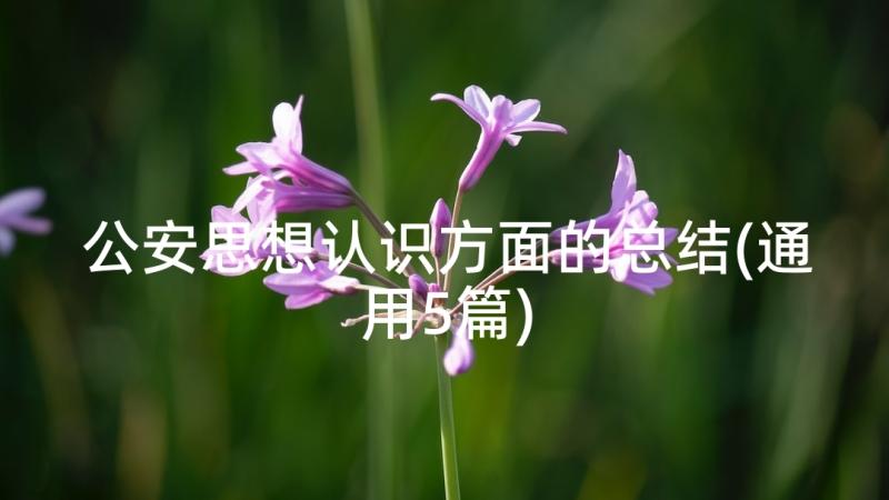 公安思想认识方面的总结(通用5篇)