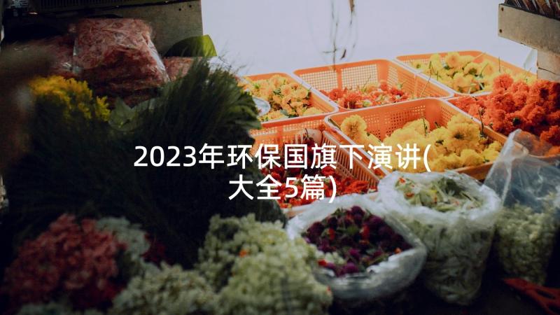 2023年环保国旗下演讲(大全5篇)