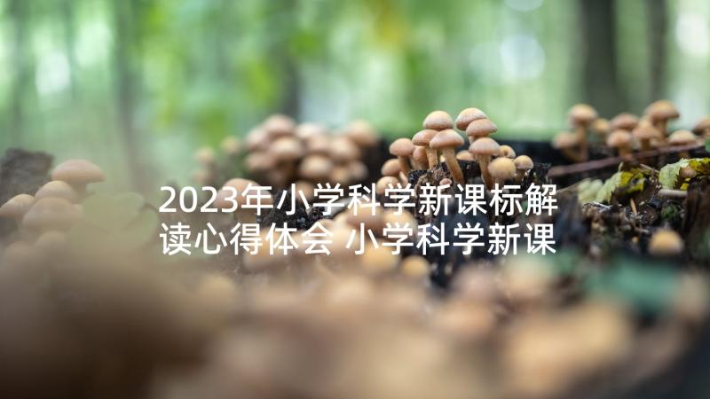 2023年小学科学新课标解读心得体会 小学科学新课标心得体会(大全9篇)