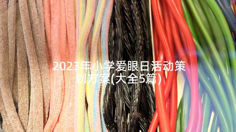 2023年小学爱眼日活动策划方案(大全5篇)