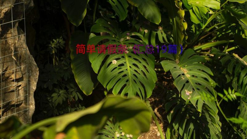 简单请假条（汇总19篇）