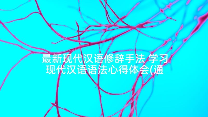 最新现代汉语修辞手法 学习现代汉语语法心得体会(通用8篇)