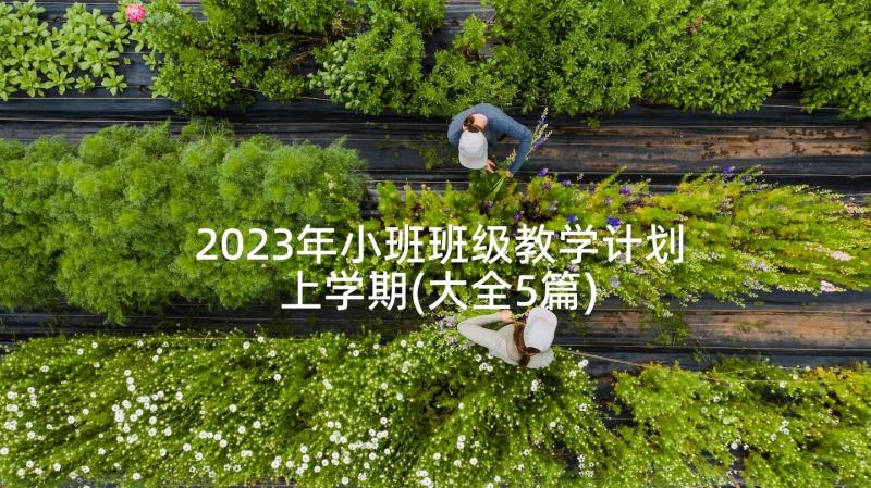 2023年小班班级教学计划上学期(大全5篇)