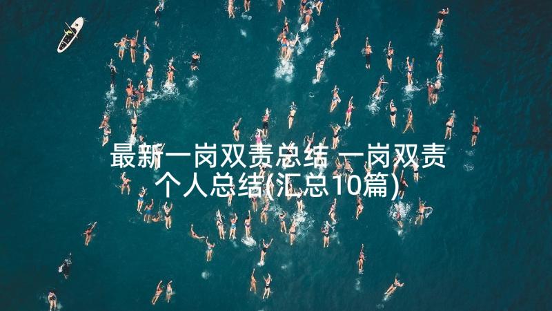 最新一岗双责总结 一岗双责个人总结(汇总10篇)