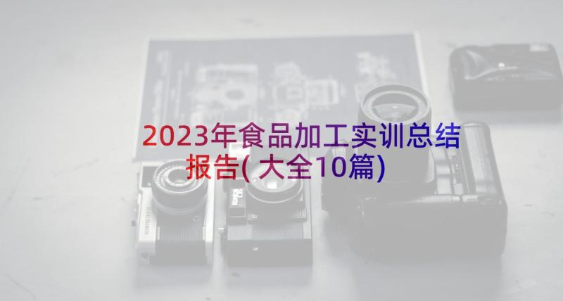 2023年食品加工实训总结报告(大全10篇)