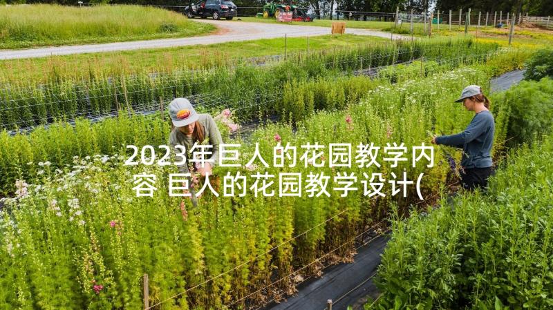 2023年巨人的花园教学内容 巨人的花园教学设计(大全5篇)