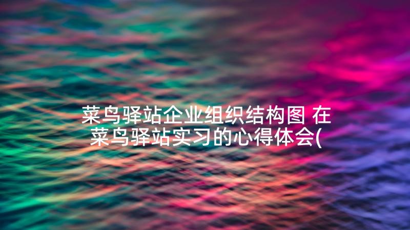 菜鸟驿站企业组织结构图 在菜鸟驿站实习的心得体会(通用5篇)