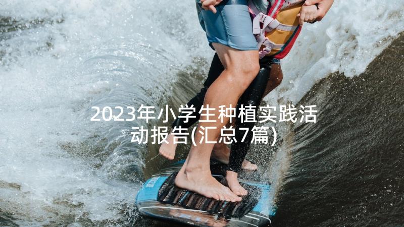 2023年小学生种植实践活动报告(汇总7篇)