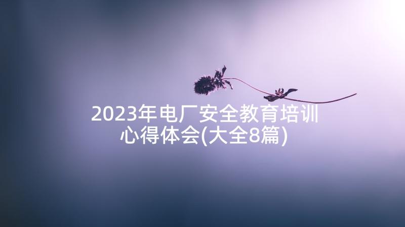 2023年电厂安全教育培训心得体会(大全8篇)