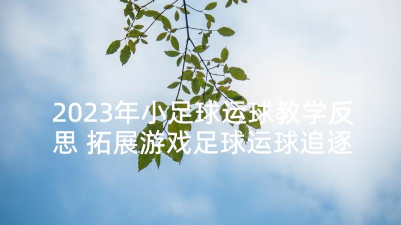 2023年小足球运球教学反思 拓展游戏足球运球追逐跑游戏(优质5篇)