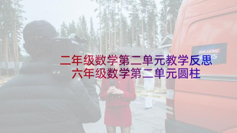 二年级数学第二单元教学反思 六年级数学第二单元圆柱与圆锥教学反思(优质5篇)