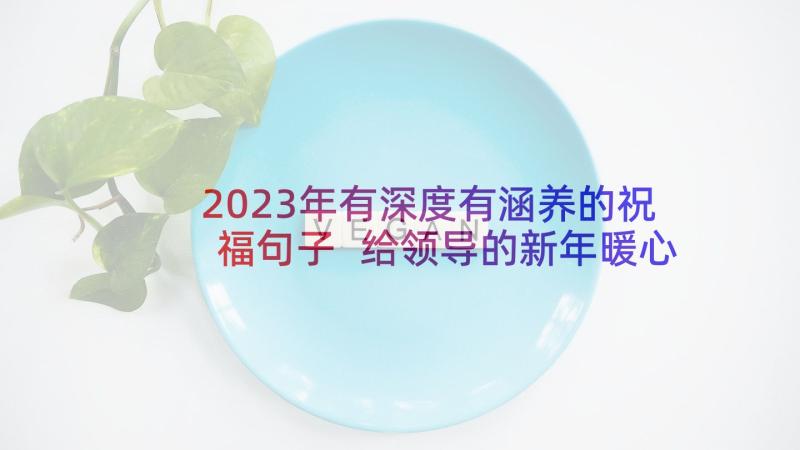 2023年有深度有涵养的祝福句子 给领导的新年暖心祝福语(精选9篇)