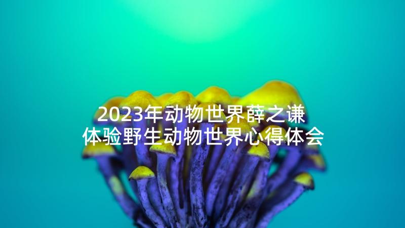 2023年动物世界薛之谦 体验野生动物世界心得体会(优秀8篇)