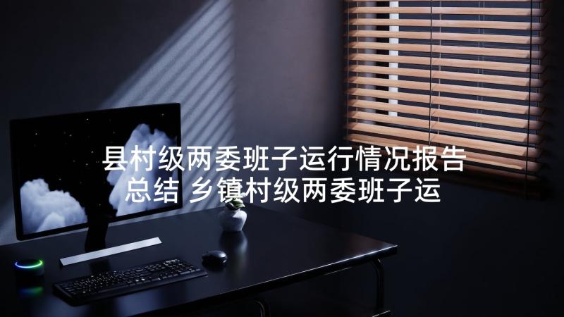 县村级两委班子运行情况报告总结 乡镇村级两委班子运行情况报告(通用10篇)