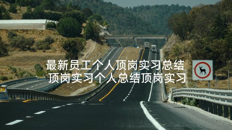 最新员工个人顶岗实习总结 顶岗实习个人总结顶岗实习报告(模板6篇)